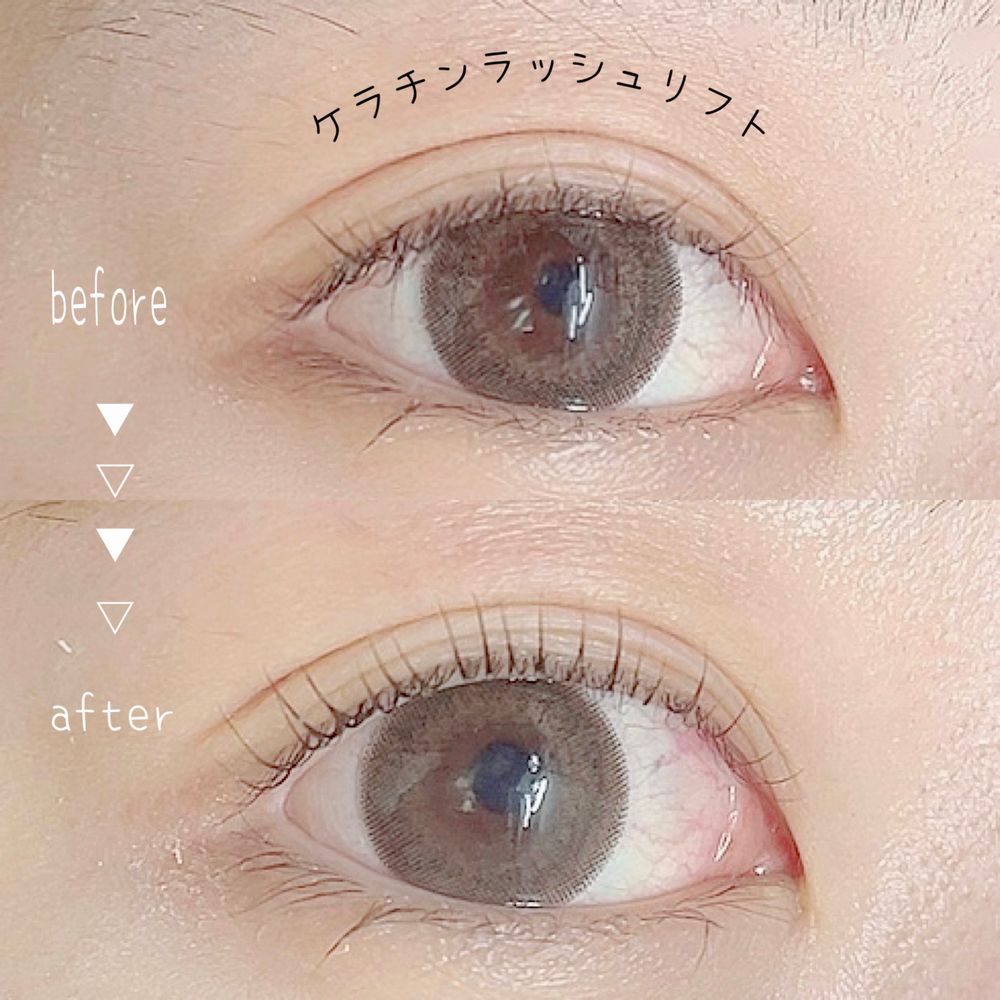 メニュー